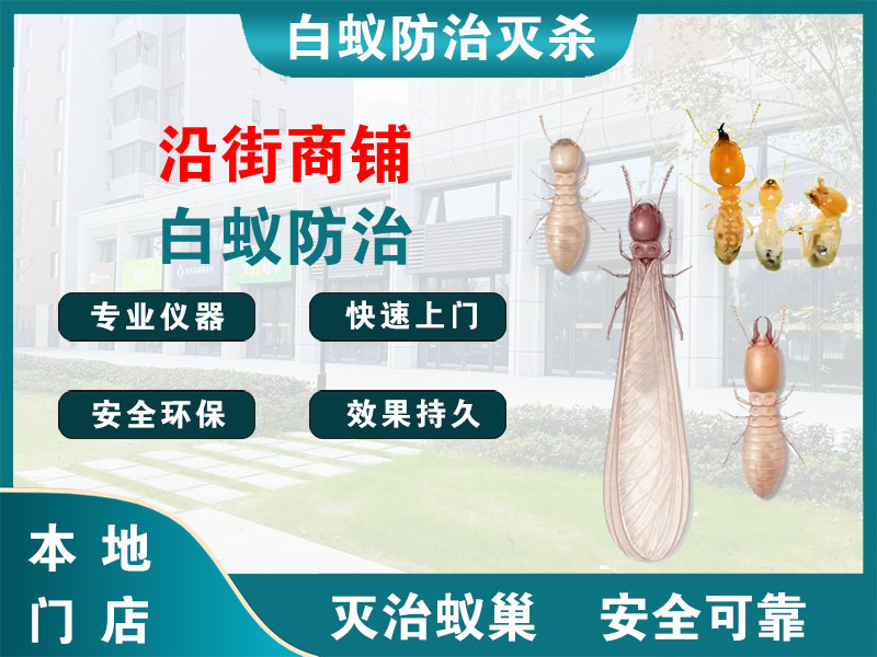 余姚市沿街商铺白蚁防治