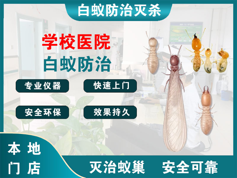 余姚市学校医院白蚁防治