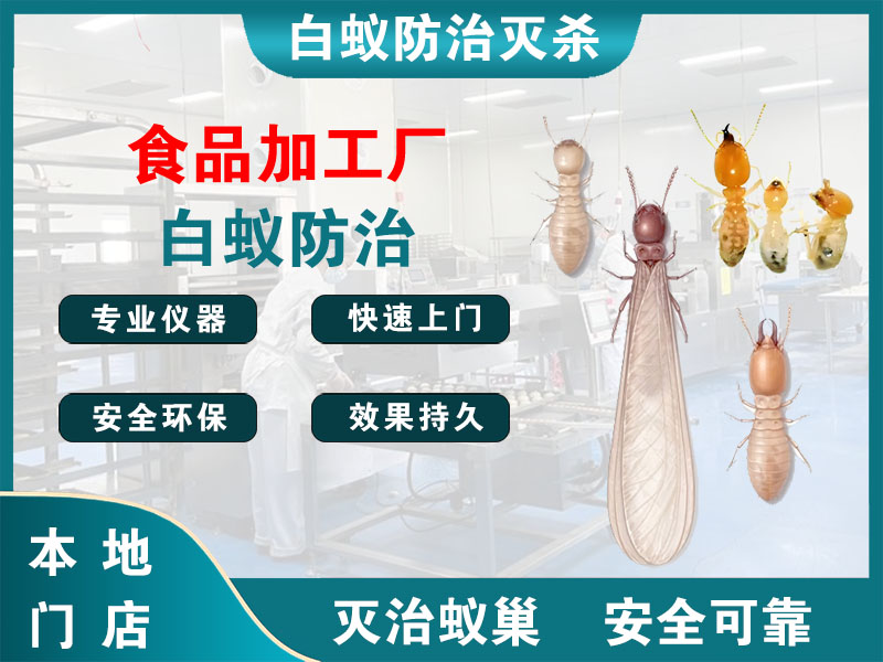 余姚市食品加工厂白蚁防治