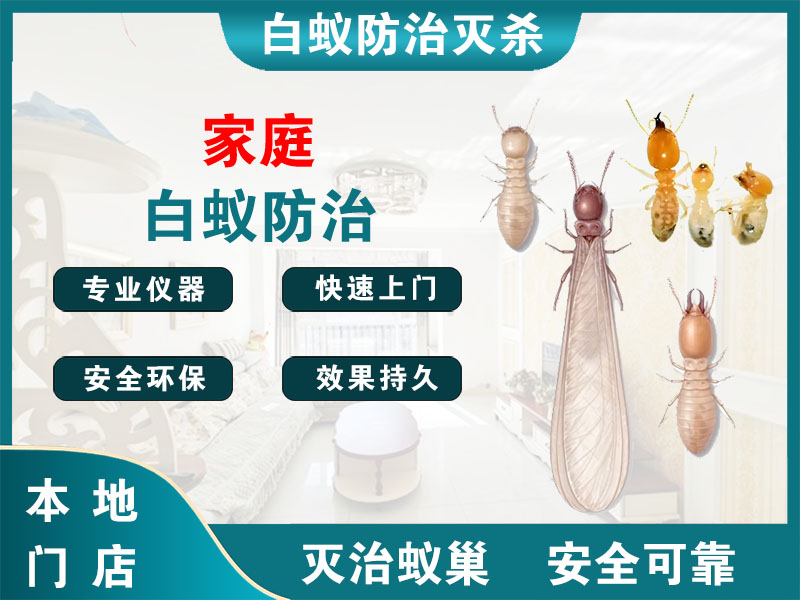 余姚市家庭白蚁防治