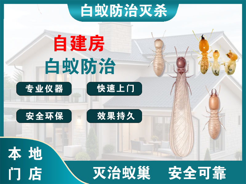 余姚市自建房白蚁防治