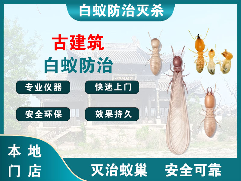 余姚市古建筑白蚁防治