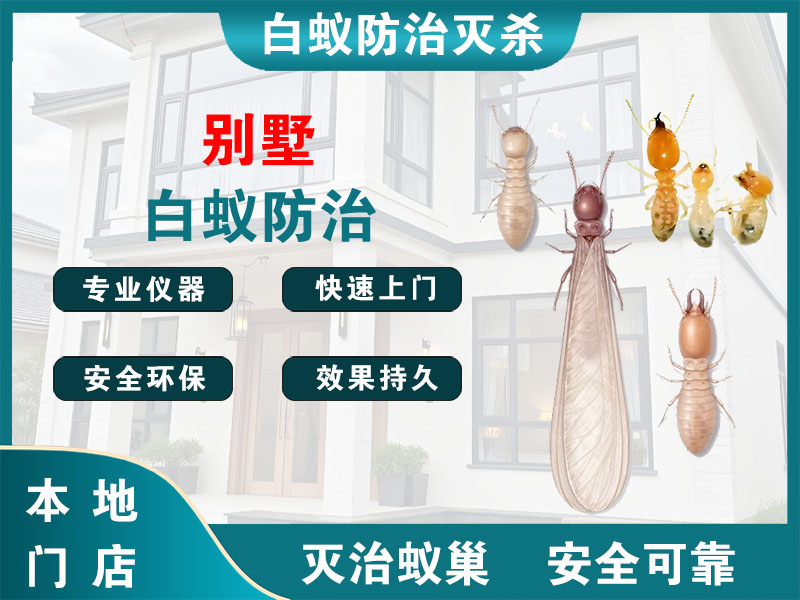 余姚市别墅白蚁防治