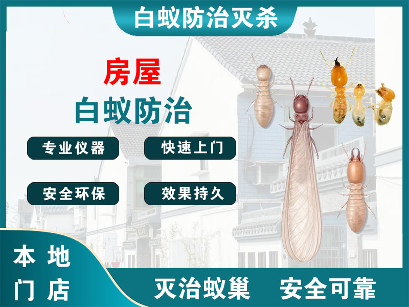 余姚市房屋白蚁防治